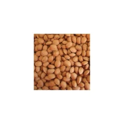 Almendro Glorieta -Zed Planta Comercio almendro glorieta 2